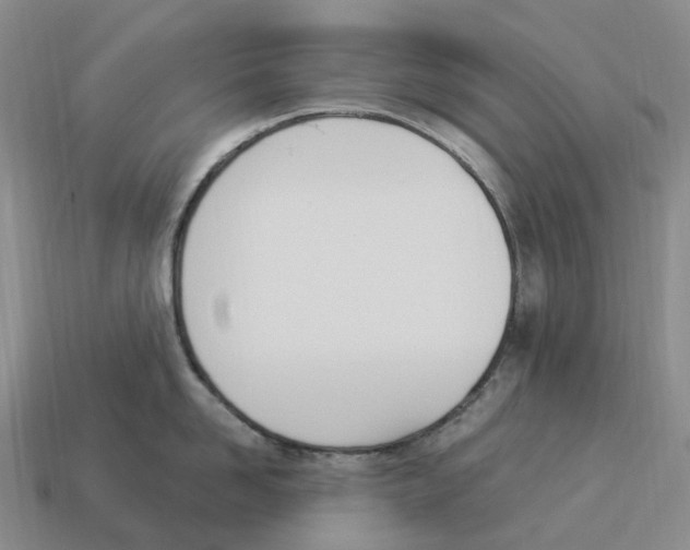 X0000114240958200911061545