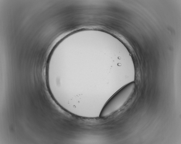 X0000114240959200911061545
