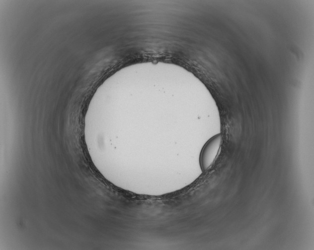 X0000114240961200911061545