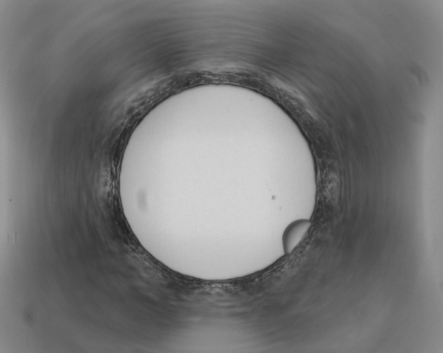 X0000114240966200911061544