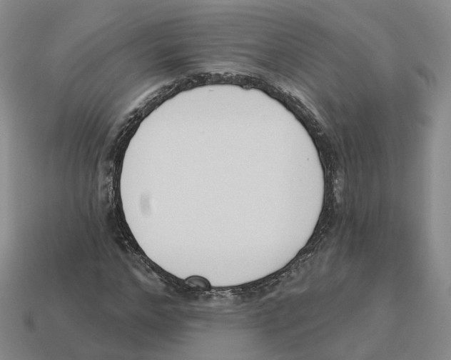X0000114240968200911061544