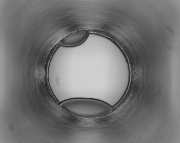 X0000114240969200911061544