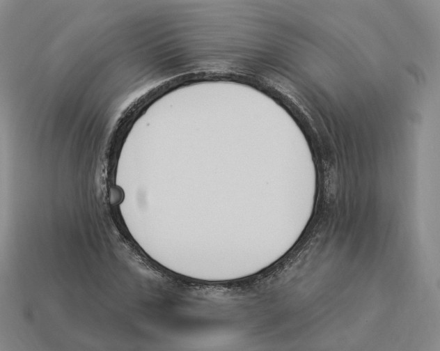 X0000114240971200911061544