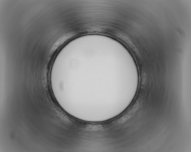 X0000114240978200911061544