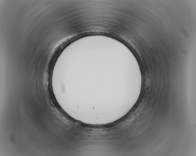 X0000114240979200911061544