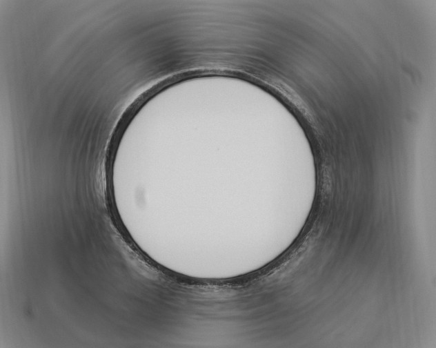 X0000114240980200911061544