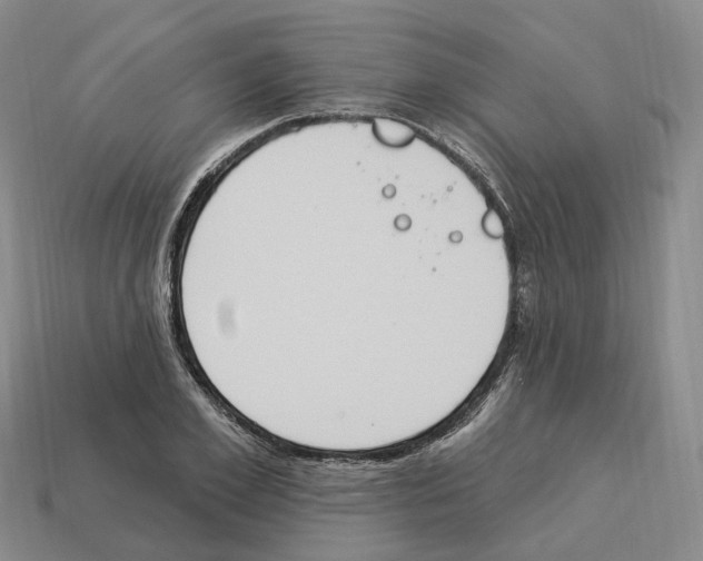 X0000114240981200911061544