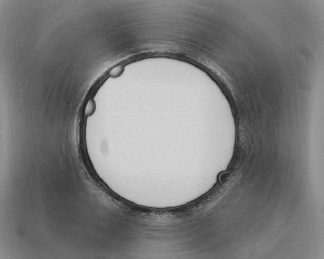 X0000114240983200911061544
