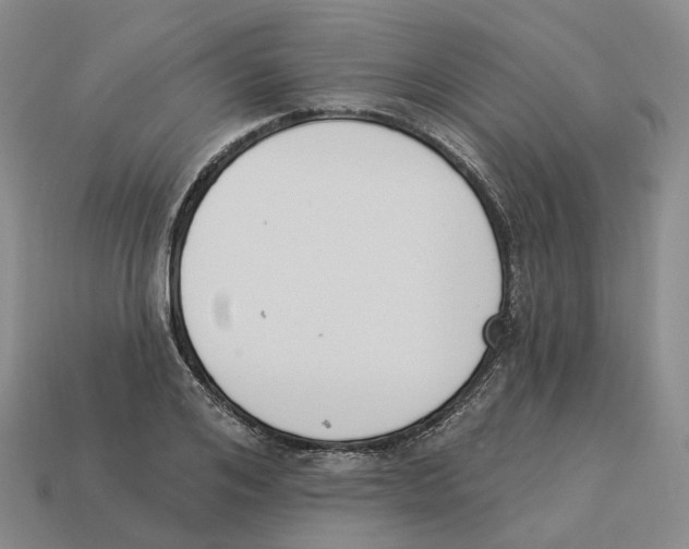 X0000114240984200911061544