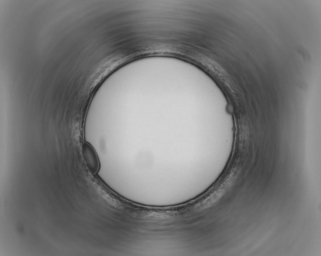 X0000114240985200911061544