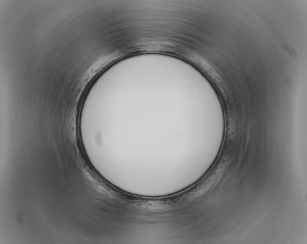 X0000114240986200911061544