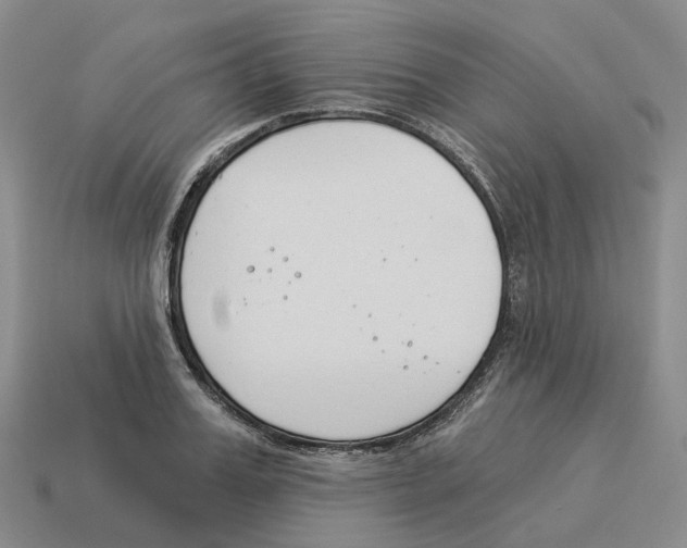 X0000114240987200911061544