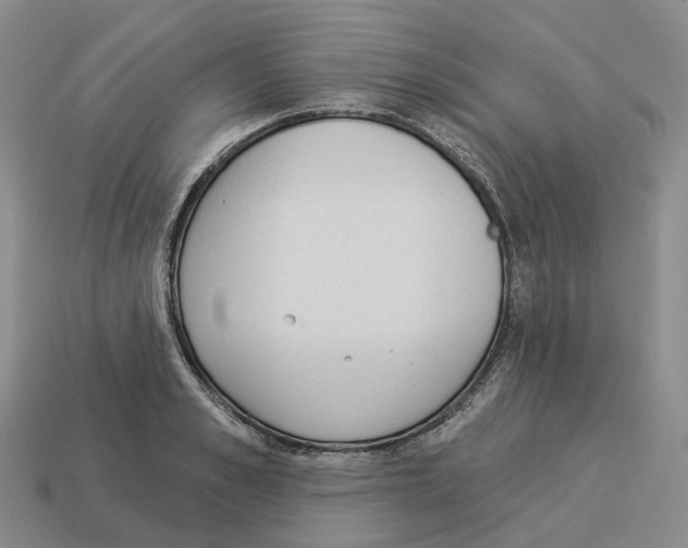 X0000114240989200911061544