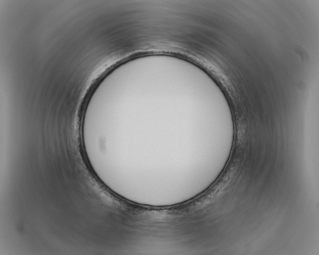 X0000114240990200911061544