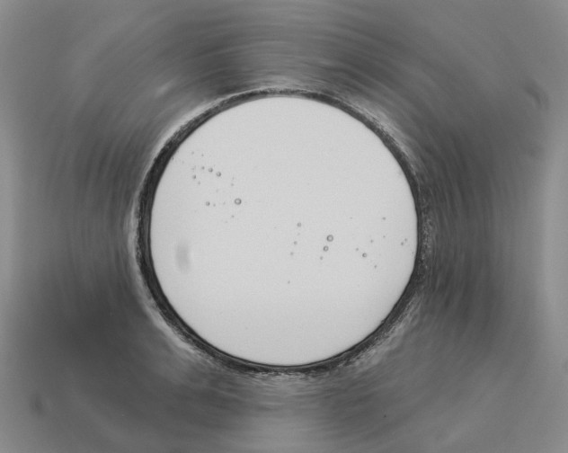 X0000114240991200911061544