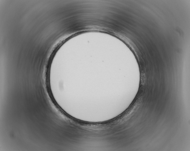 X0000114240995200911061544