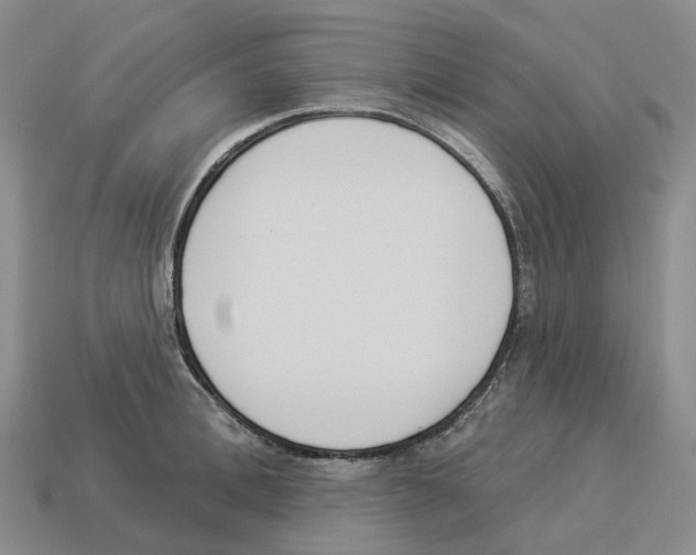 X0000114240996200911061544