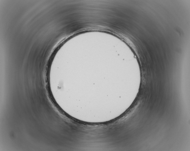 X0000114240997200911061544