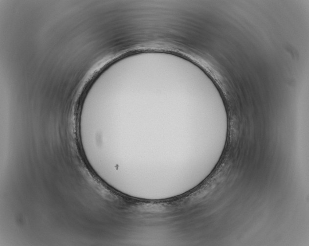 X0000114240998200911061544