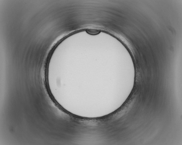 X0000114240999200911061544