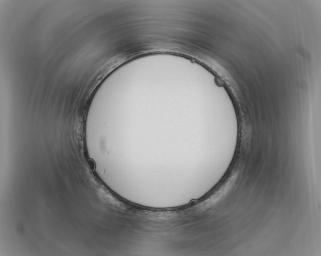X0000114241001200911061544