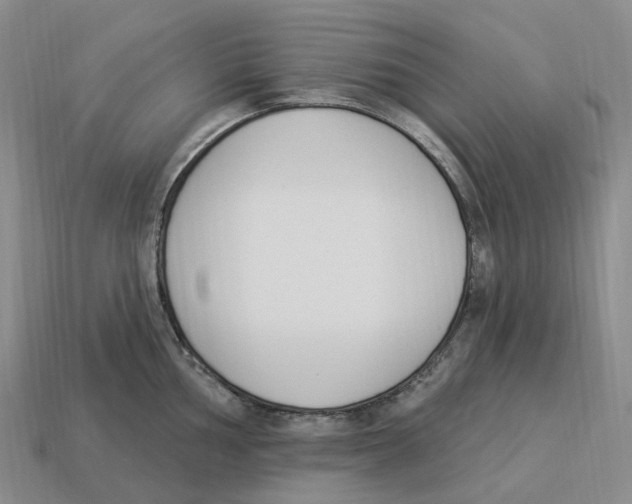 X0000114241002200911061544