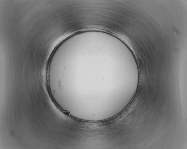 X0000114241003200911061544