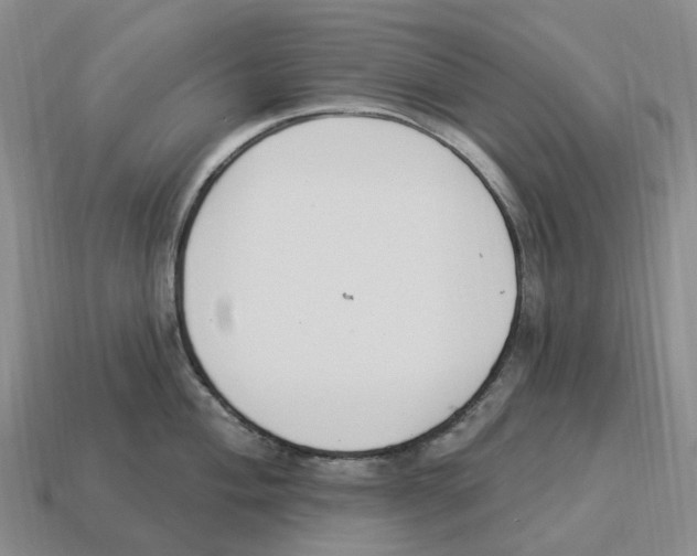 X0000114241004200911061544