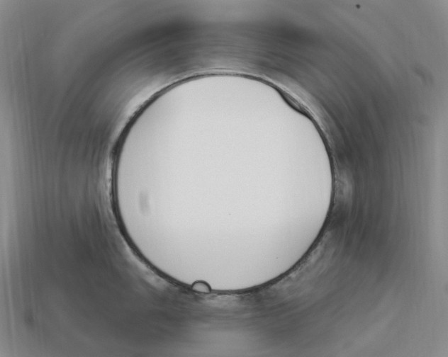 X0000114241006200911061544