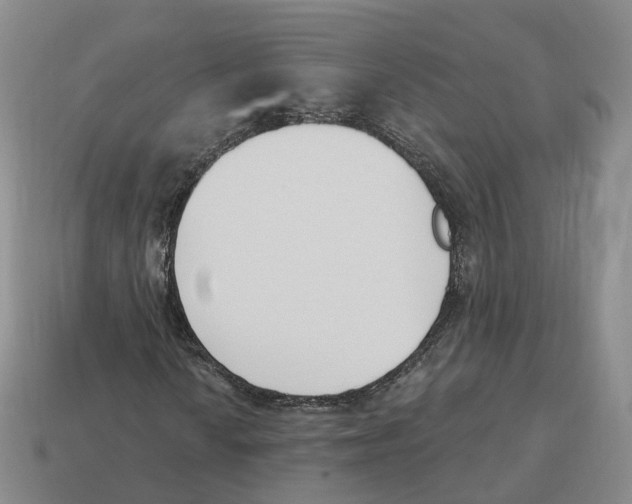 X0000114241010200911061543