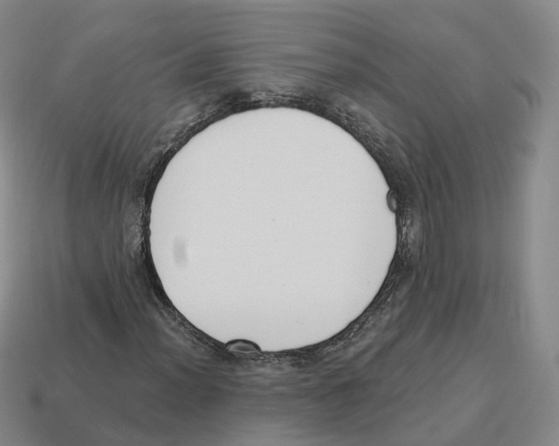 X0000114241012200911061543