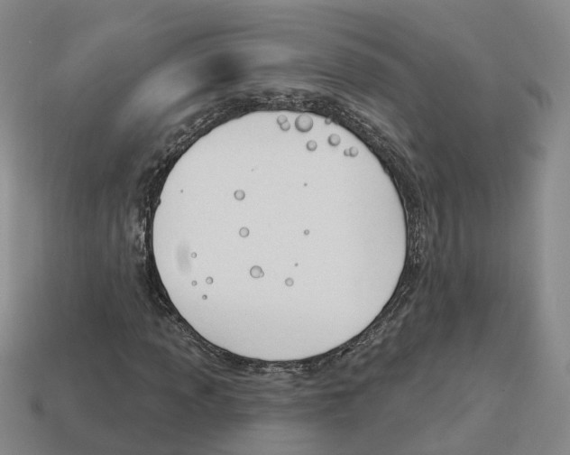 X0000114241013200911061543