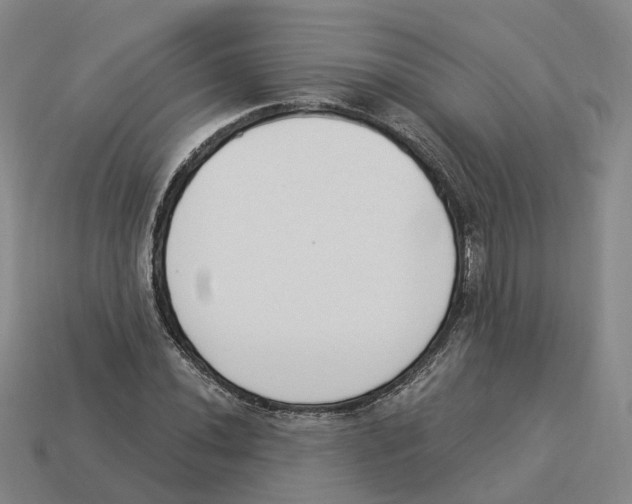 X0000114241020200911061543