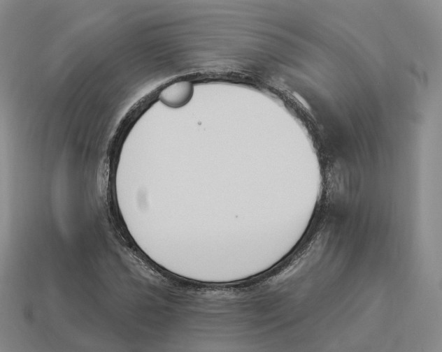 X0000114241021200911061543