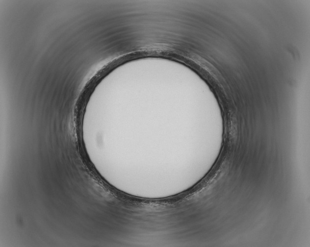 X0000114241022200911061543