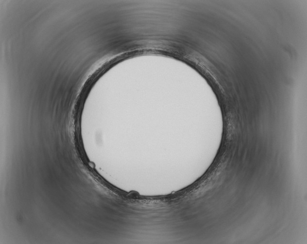 X0000114241024200911061543
