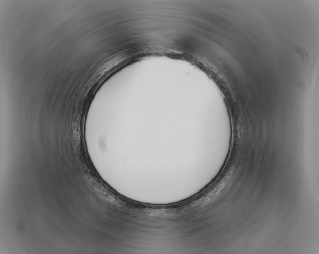 X0000114241025200911061543