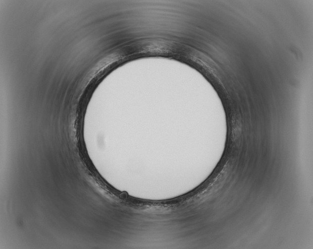 X0000114241026200911061544
