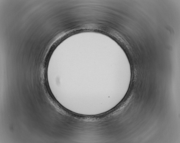 X0000114241029200911061544