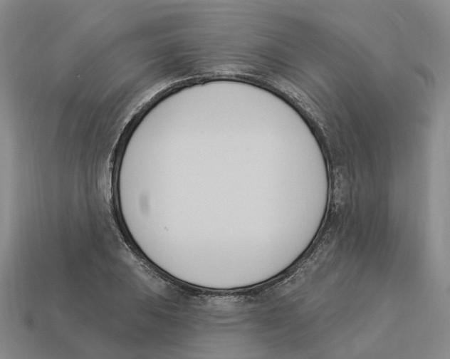 X0000114241031200911061544