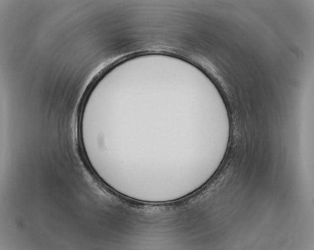 X0000114241032200911061544