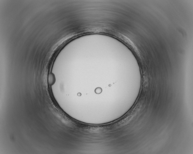 X0000114241035200911061544