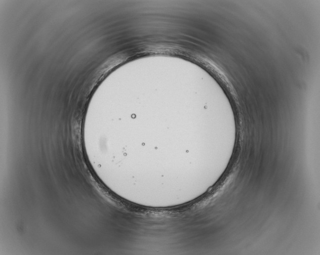 X0000114241041200911061544