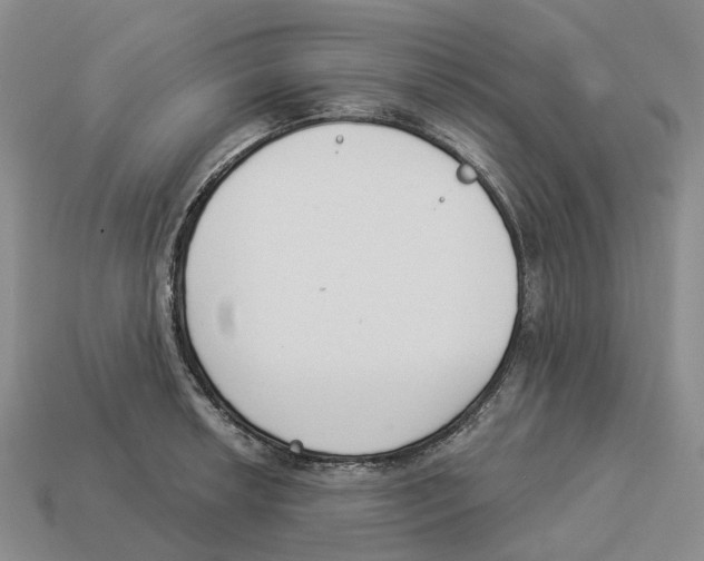 X0000114241042200911061544