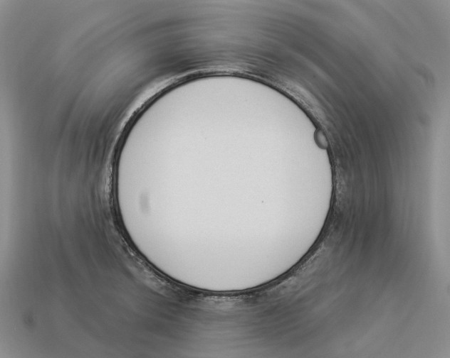 X0000114241044200911061544
