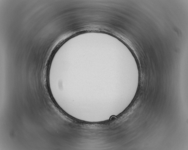 X0000114241045200911061544