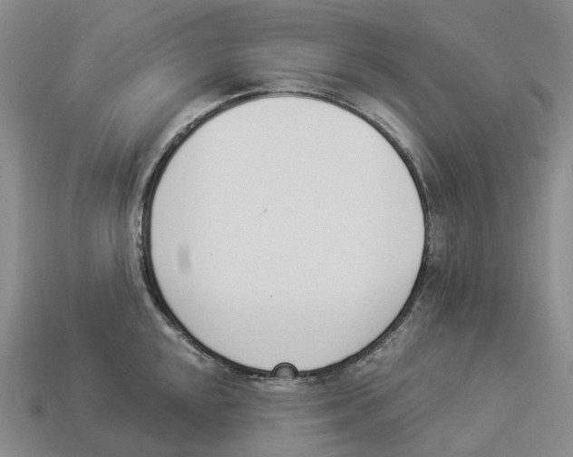 X0000114241048200911061544