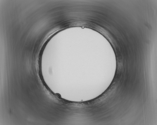 X0000114241050200911061544