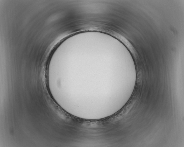 X0000114241051200911061544