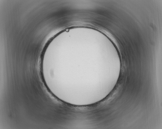 X0000114241053200911061544